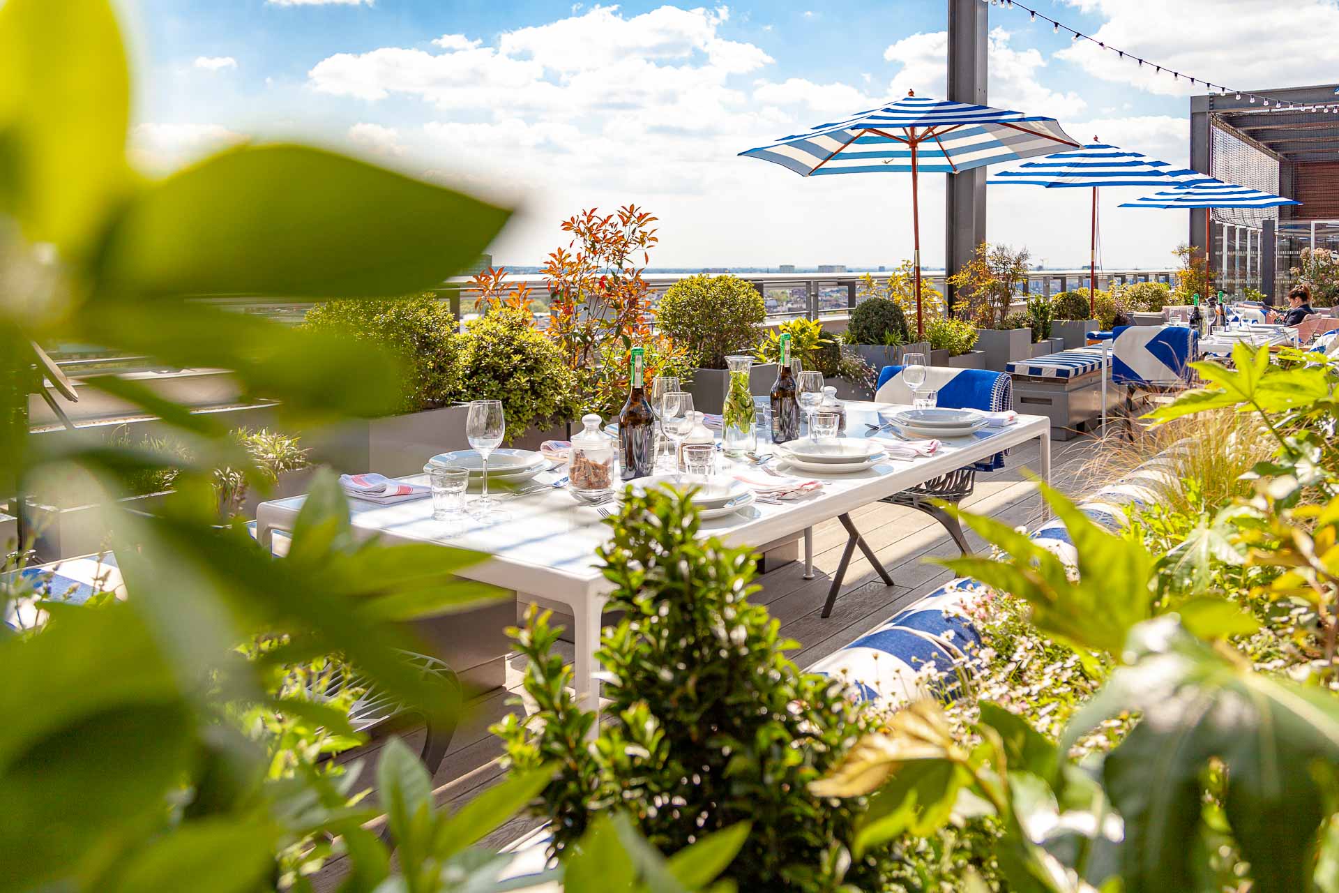 Food Rooftop Bar London Skylark Roof Garden Paddington W2 Food Rooftop Bar London Skylark Roof Garden Paddington W2